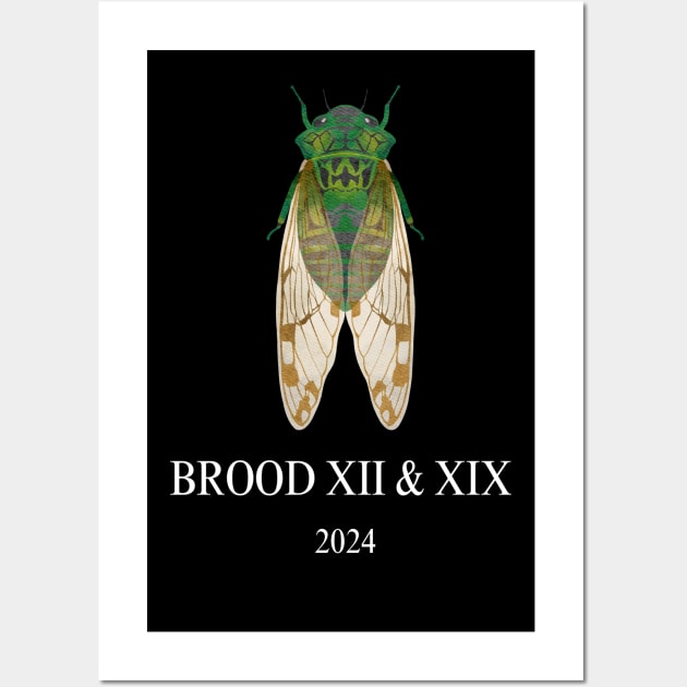 Cicada Brood XIII & XIX 2024 Wall Art by Dylante